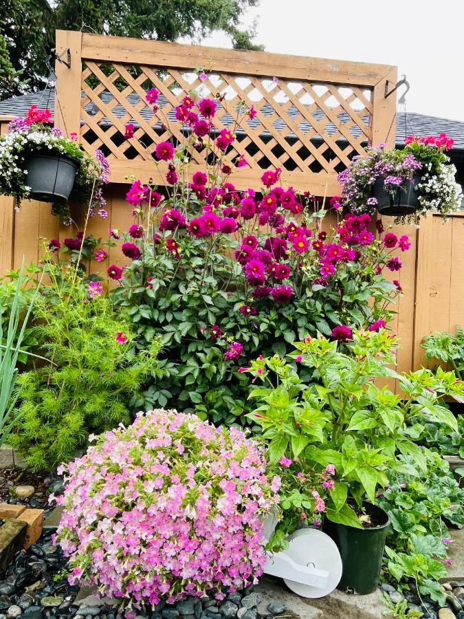 Guest house Garden In -beautiful In *