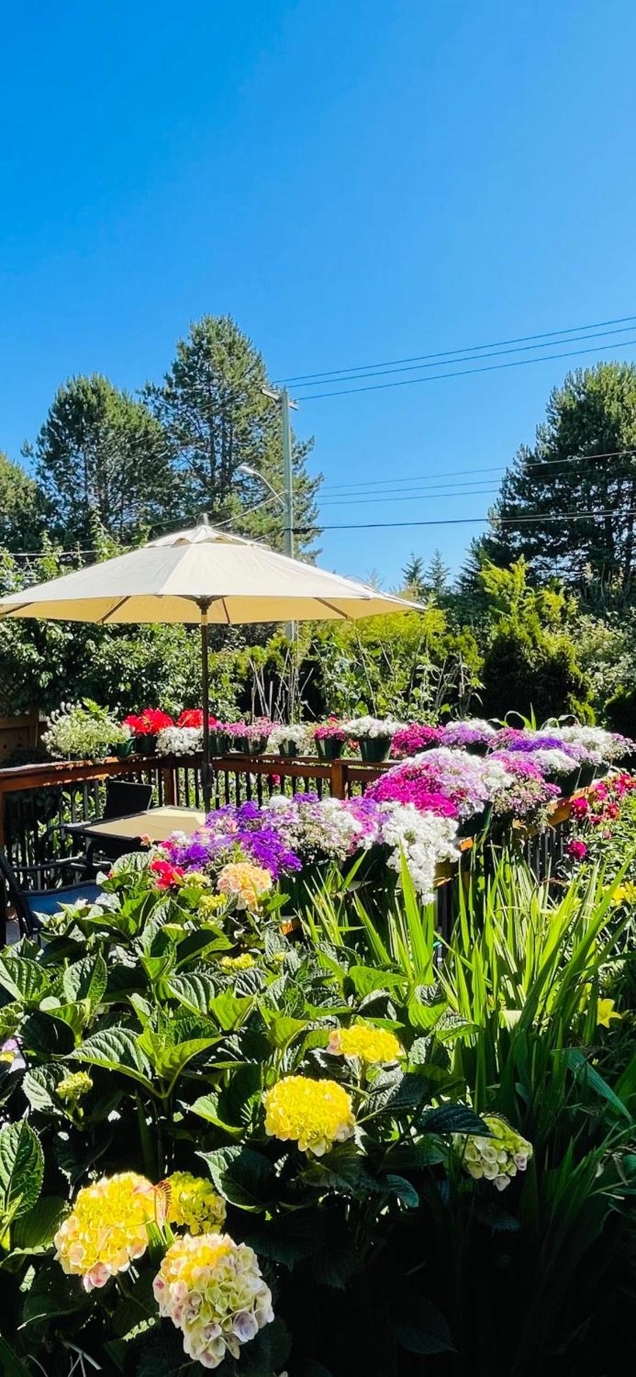 Guest house Garden In -beautiful In *