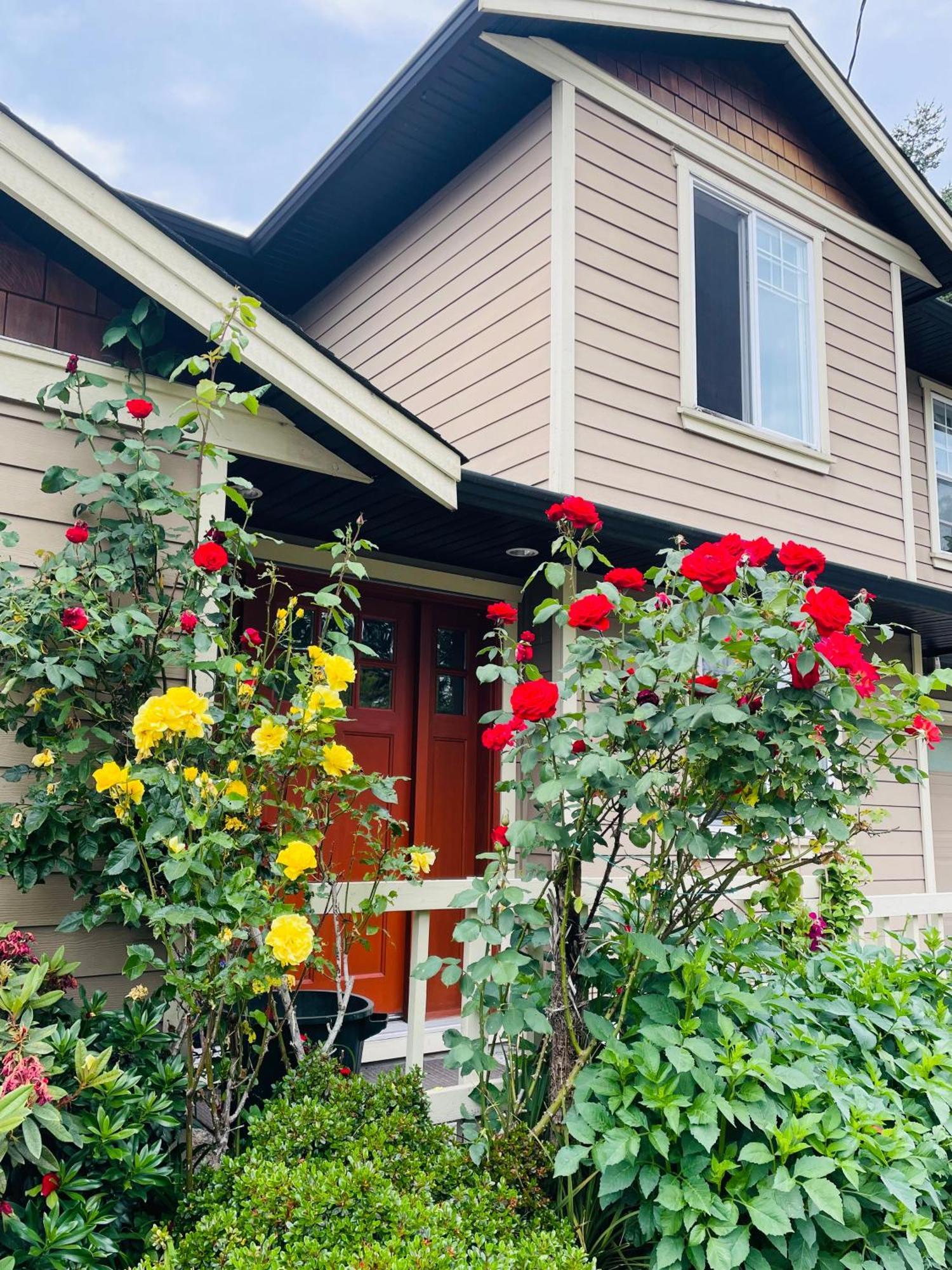 Garden In -beautiful In Guest house *