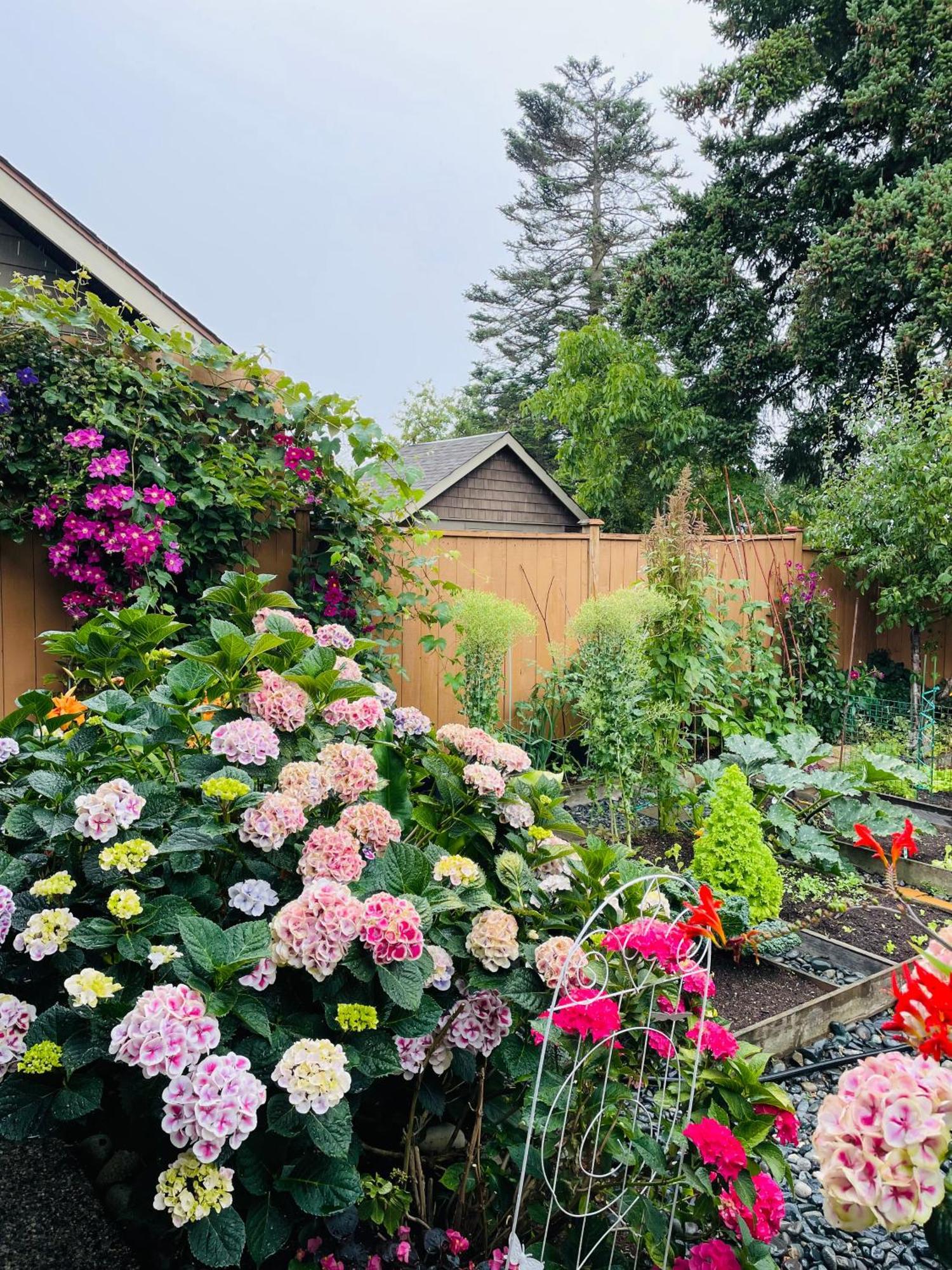 Garden In -beautiful In Guest house